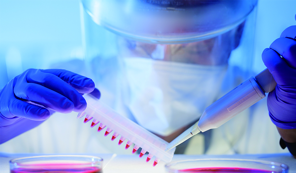 庆阳细胞生物学实验